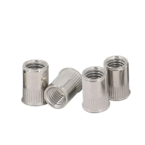 Blind Rivet insert Nut