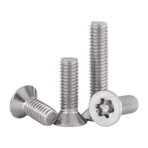 Countersunk Screws